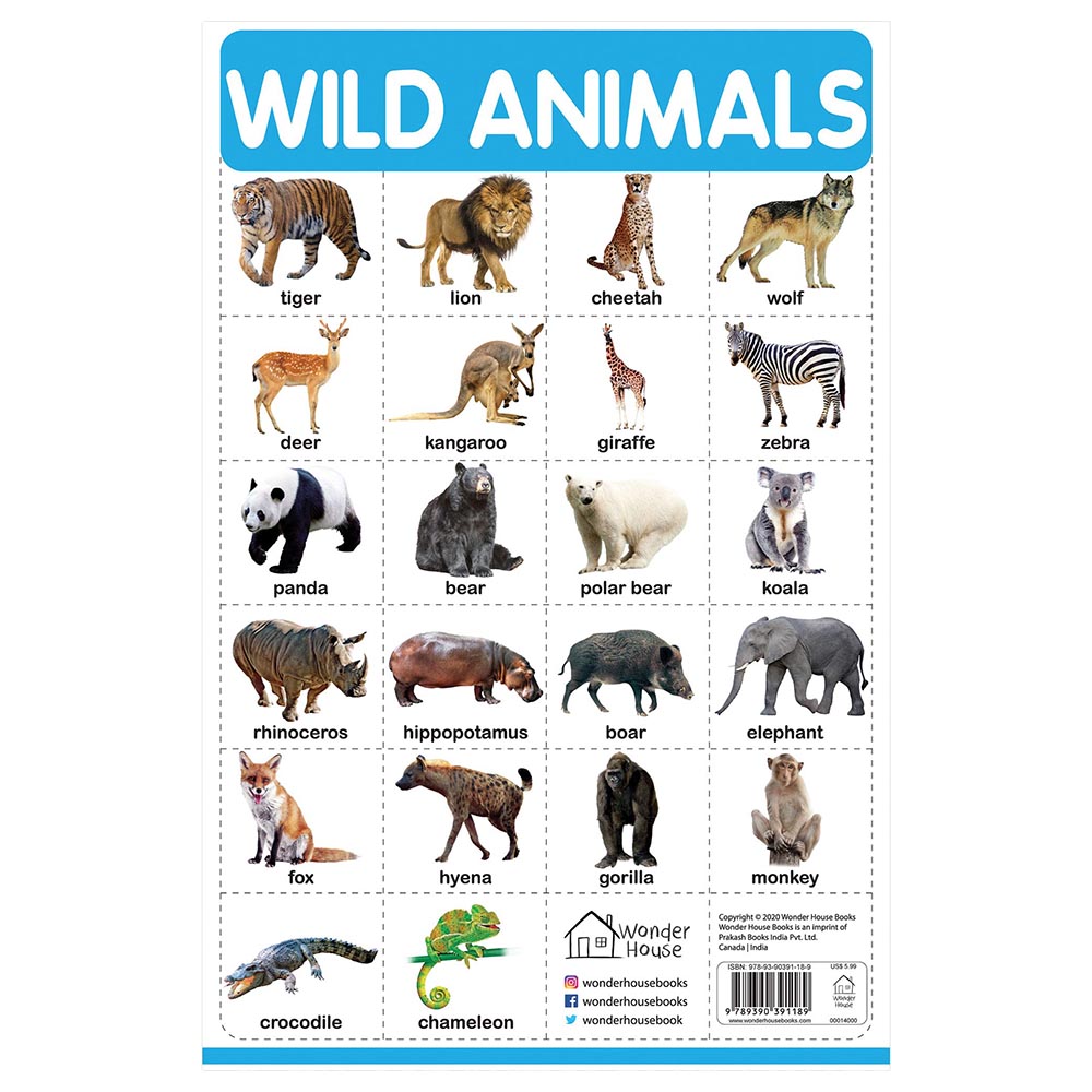 Prakash Books - Wild Animals Wall Chart