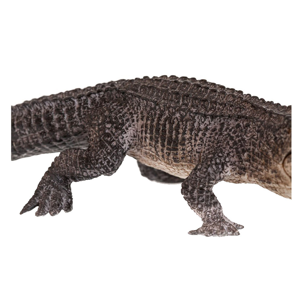 Animal Planet - Mojo Alligator Toy Figure - Black | Buy at Best Price from  Mumzworld